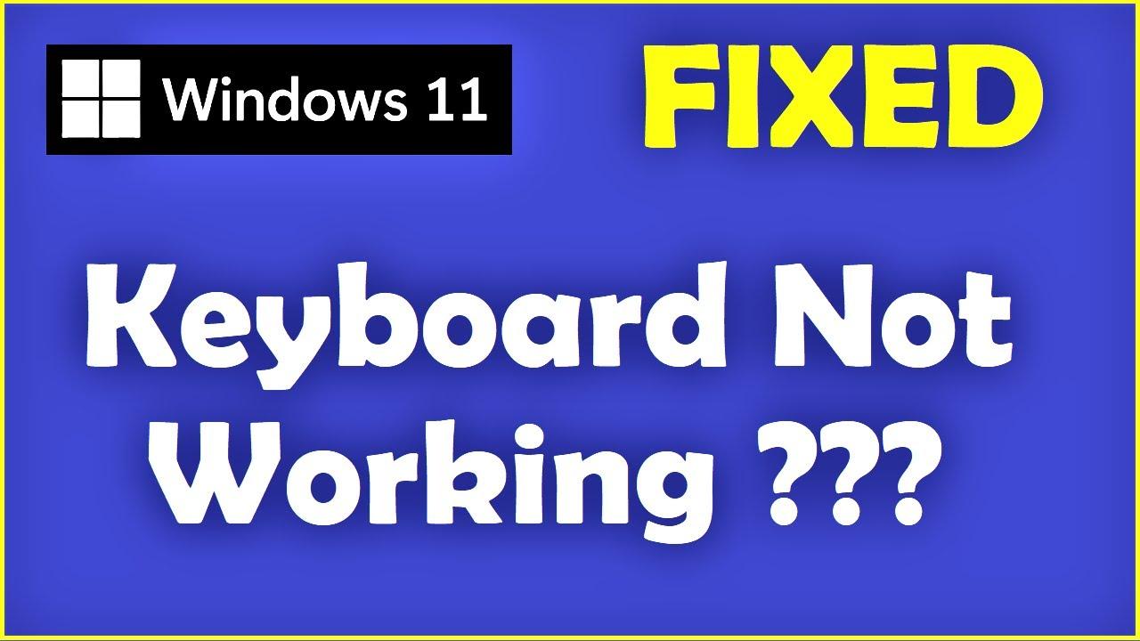 How to Fix Mouse and Keyboard Not Working in Windows 11?