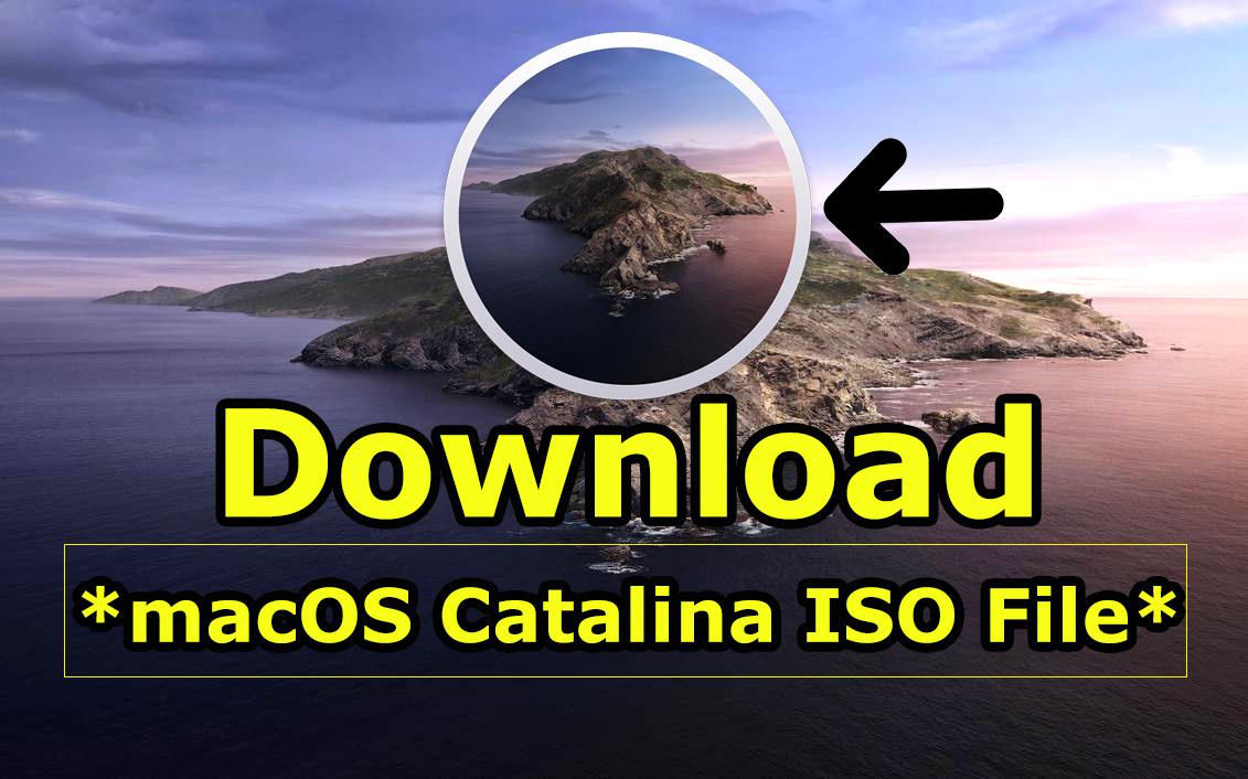 Download ISO File of macOS Catalina (VMware & VirtualBox Images)